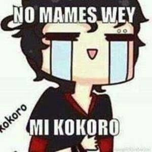 Meet your Posher, Robin